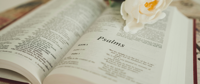 Space for effective reading after hours