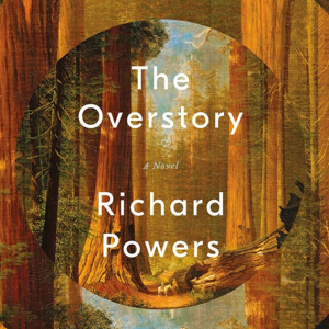 The Overstory