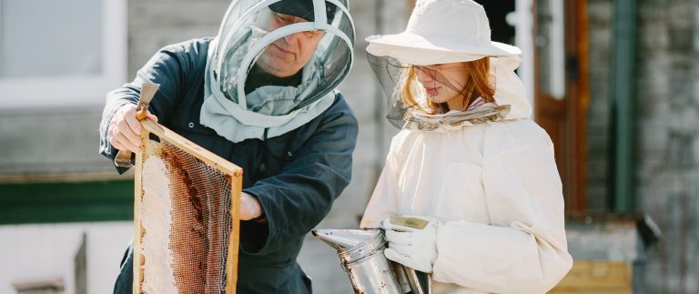 Honeycomb is the natural beeswax