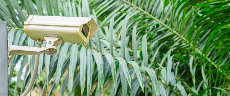 Find The Best Camera System for Your’s Hand