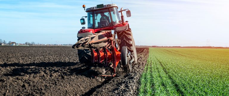 Organic farm challenges and how to beat easily