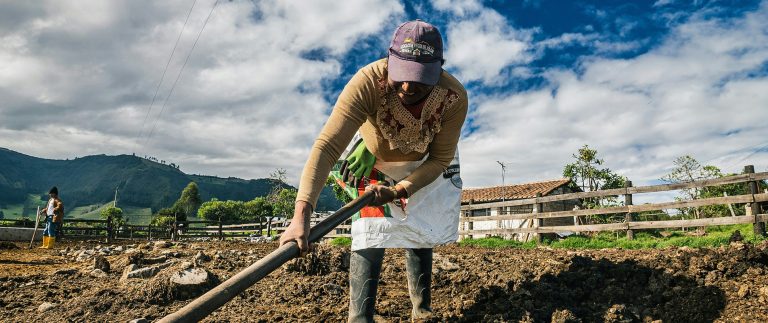 Understanding the certification process for organic farms
