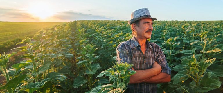Organic versus conventional farming making choices