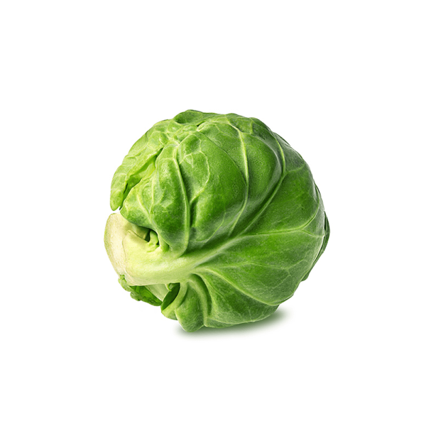 Garden Fresh Natural Green Cabbage Gourmet