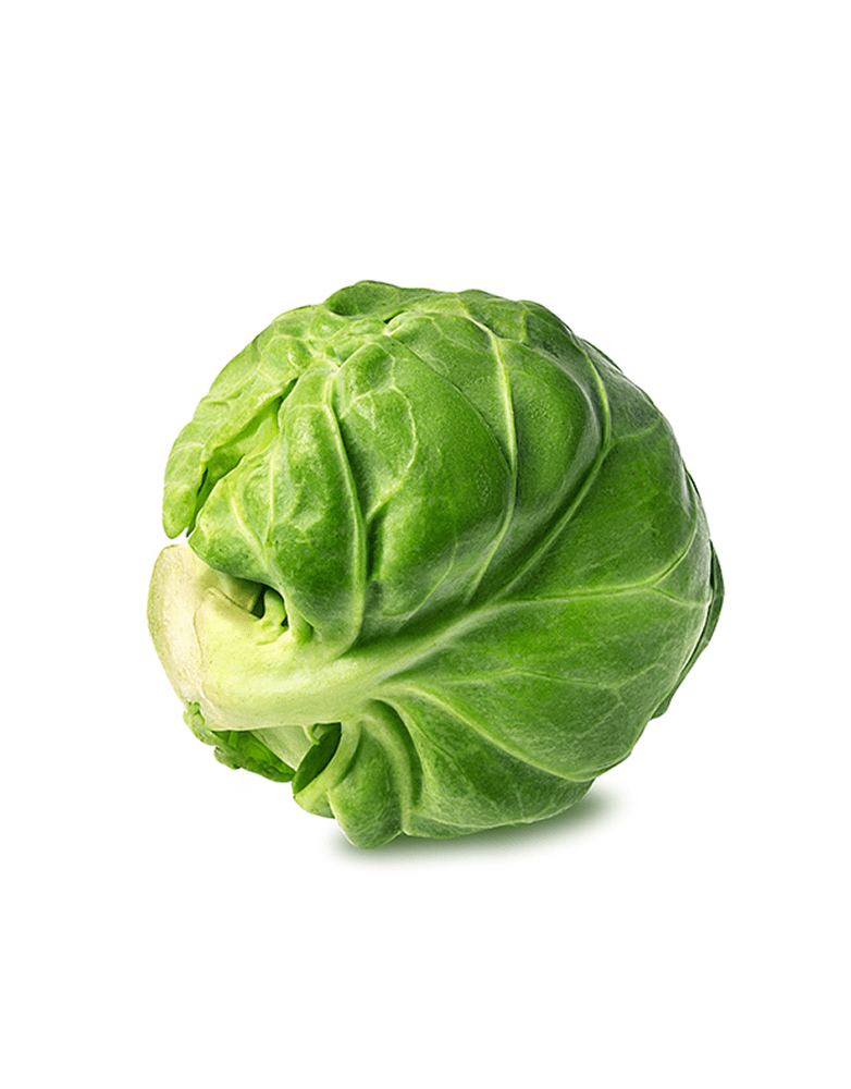 Garden Fresh Natural Green Cabbage Gourmet