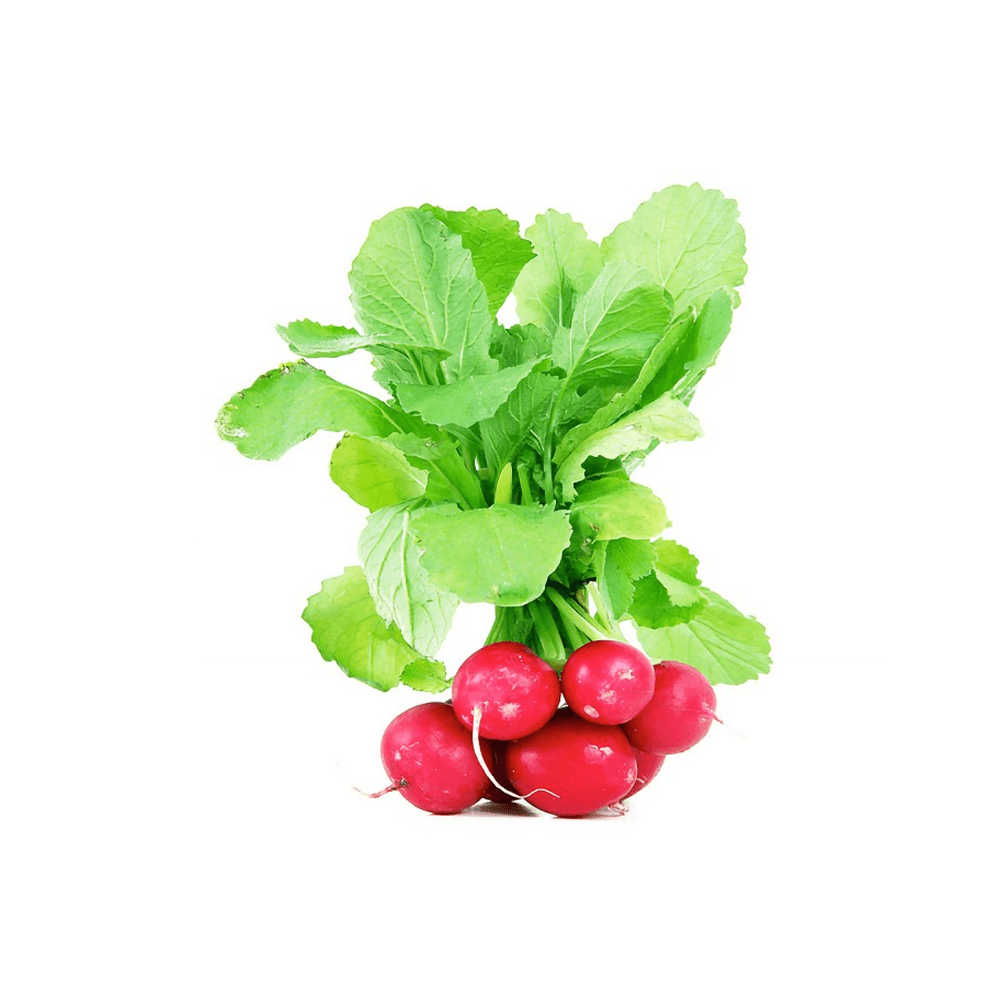 Healthy Harvest Fresh Capsicum Crisp Garden Pack - Image 4
