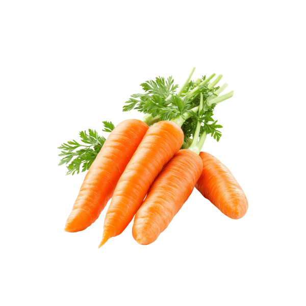 Healthy Harvest Fresh Carrot Crisp Garden Pack
