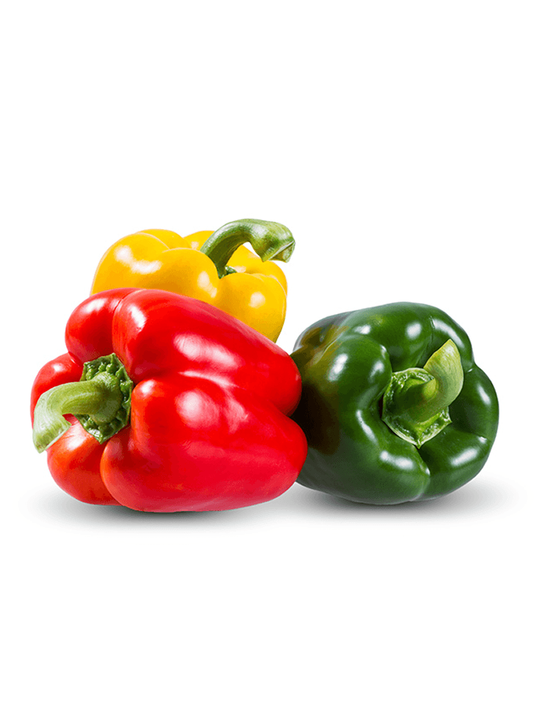 Healthy Harvest Fresh Capsicum Crisp Garden Pack