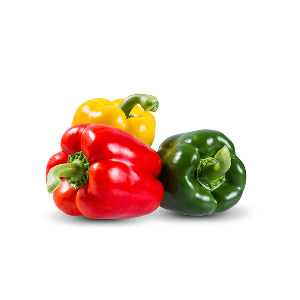 product-img-12