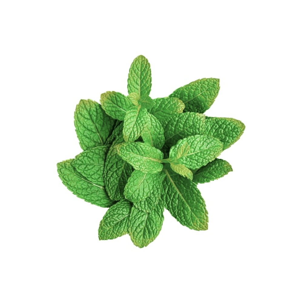 product-img-14