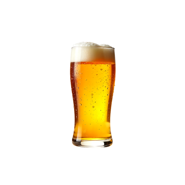 Carlsberg Elephant Beer