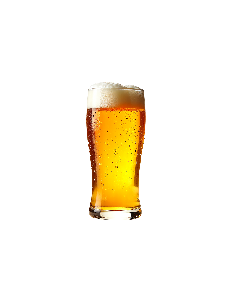 Carlsberg Elephant Beer