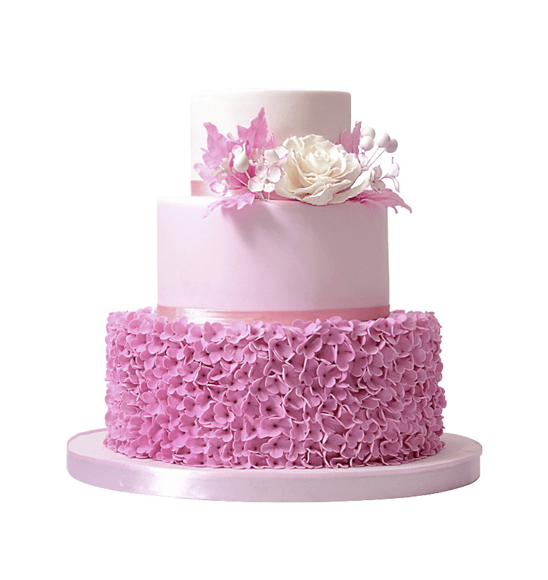 Creamy Frosting Dream Pink